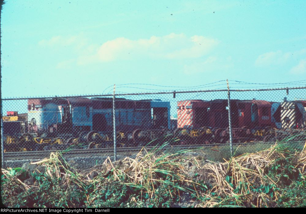 CP 8467-8588-8560 at Aengus shops